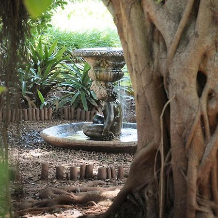 Mount Azimbo Lodge Louis Trichardt Dış mekan fotoğraf
