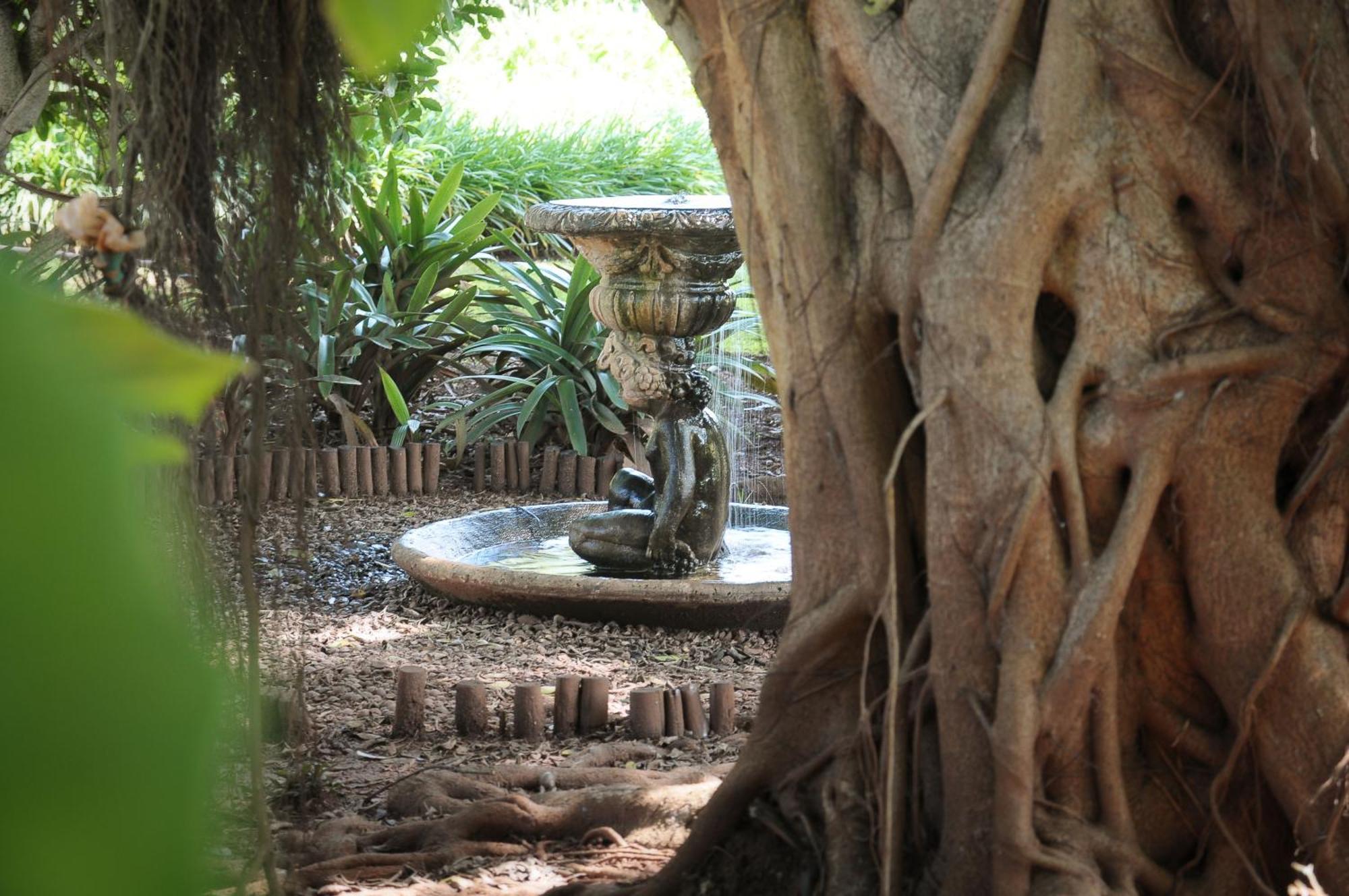 Mount Azimbo Lodge Louis Trichardt Dış mekan fotoğraf