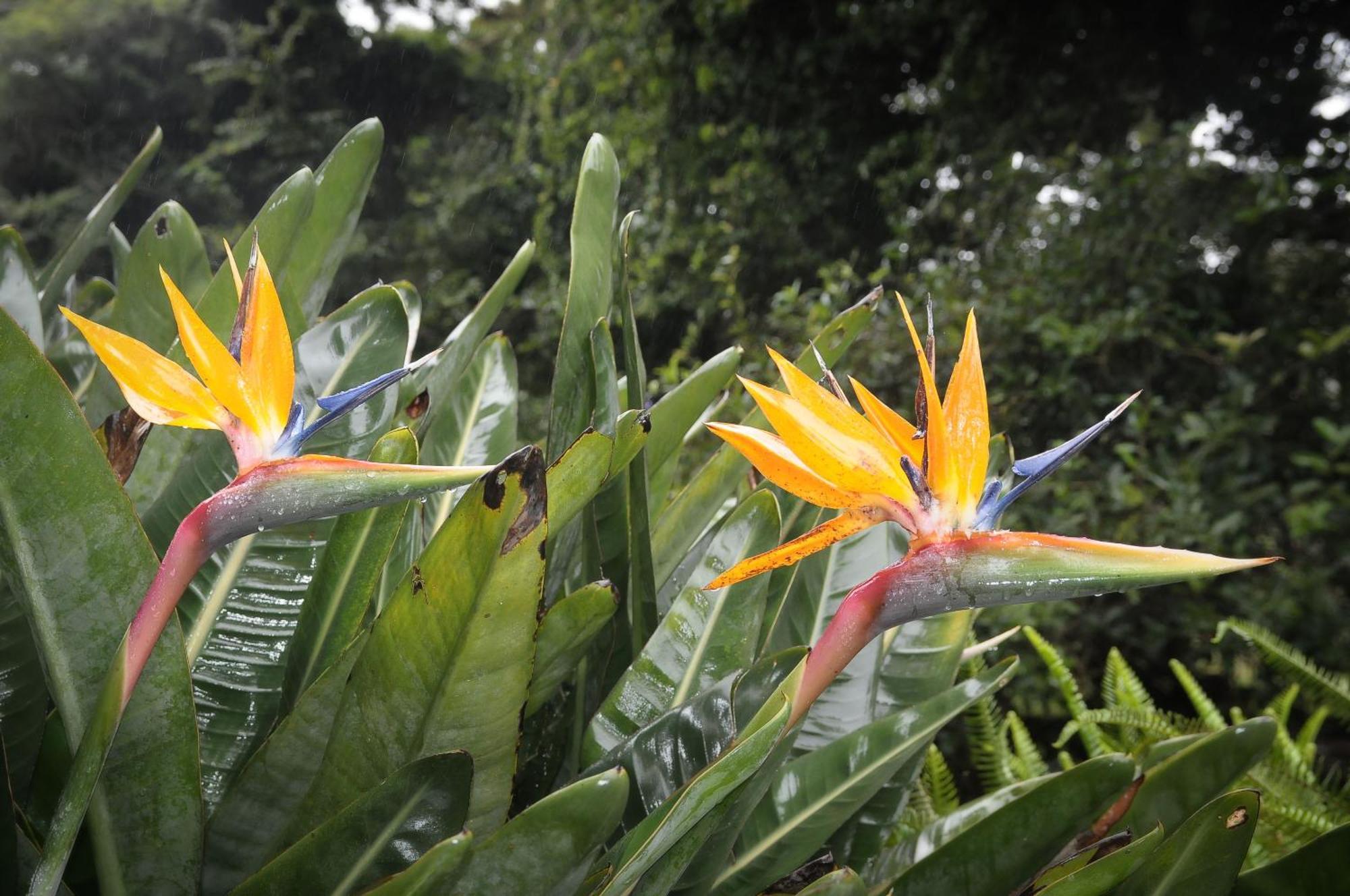 Mount Azimbo Lodge Louis Trichardt Dış mekan fotoğraf