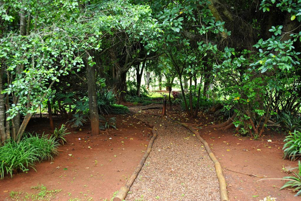 Mount Azimbo Lodge Louis Trichardt Dış mekan fotoğraf